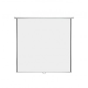 Screenview Motorized Wall Screen 96" EWSSV2424RL